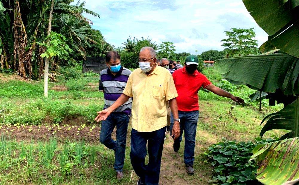 Prefeitura de Teresina quer elevar a produção rural para 20% nos próximos quatro anos